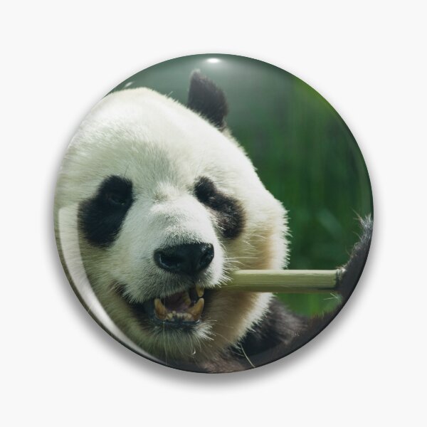 Item preview, Yang Guang  designed and sold by hawkie.