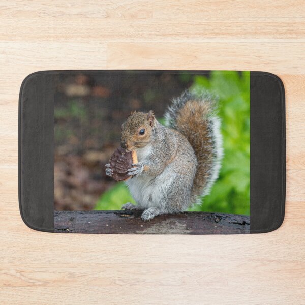 Item preview, Jaffa Squirrel designed and sold by hawkie.