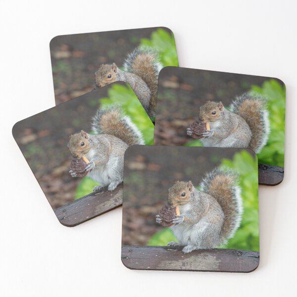 Item preview, Jaffa Squirrel designed and sold by hawkie.