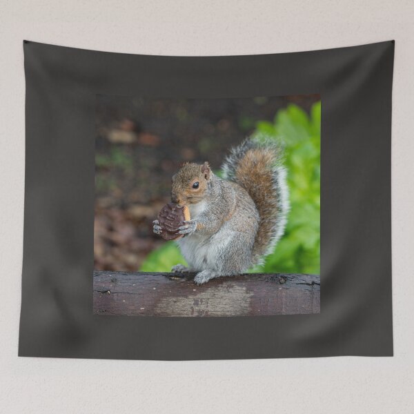 Item preview, Jaffa Squirrel designed and sold by hawkie.