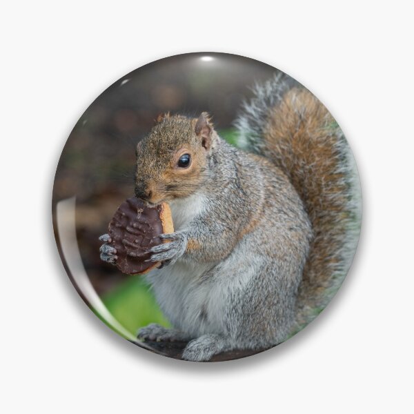 Item preview, Jaffa Squirrel designed and sold by hawkie.