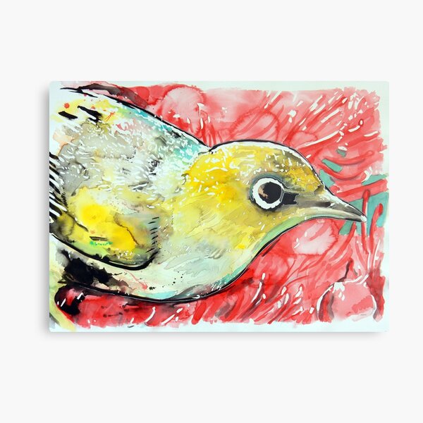 silvereye Metal Print