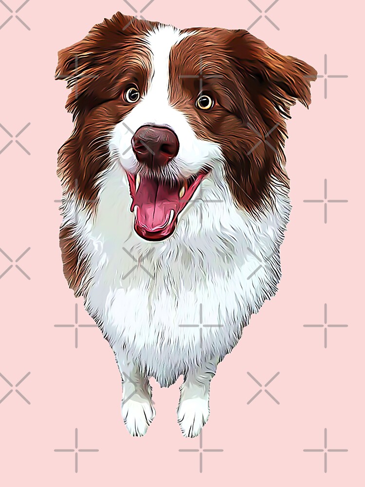 Border Collie- Chocolate Brown Beauty