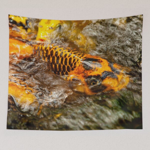 Item preview, Koi in the ripples of a waterfall designed and sold by Dalyndigital Photography.