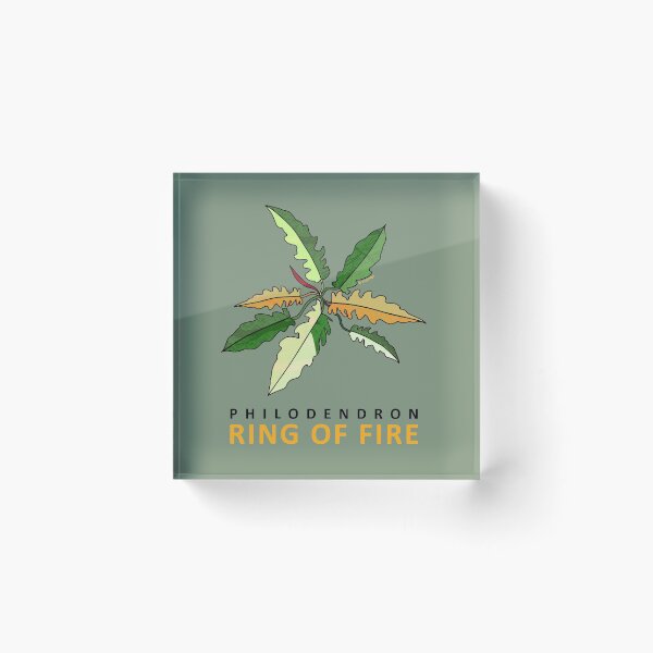 Item preview, Philodendron Ring of Fire Art designed and sold by TASORA.