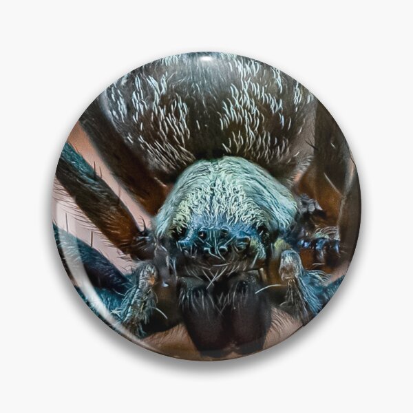 Item preview, Incy wincy grey house spider designed and sold by Cornishinoz.