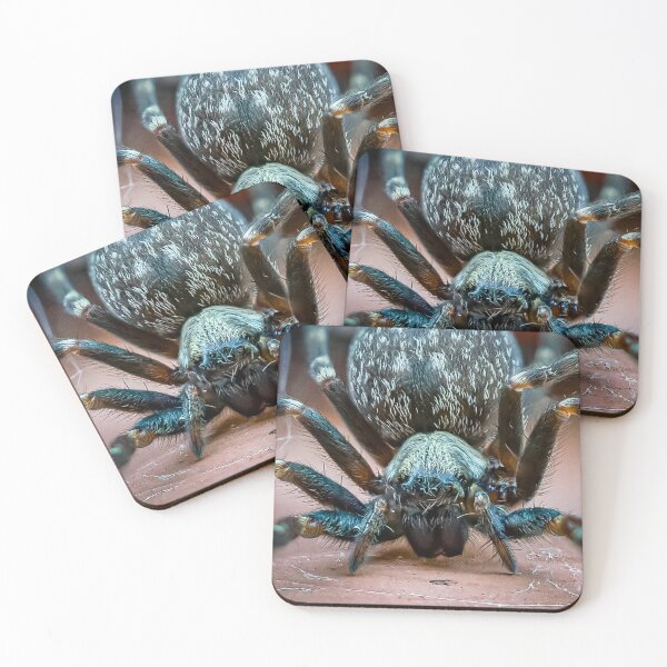 Item preview, Incy wincy grey house spider designed and sold by Cornishinoz.