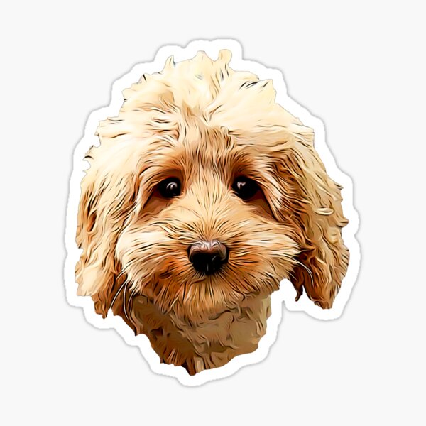 Item preview, Cavapoo Cockapoo Doodle Cuteness designed and sold by ElegantCat.