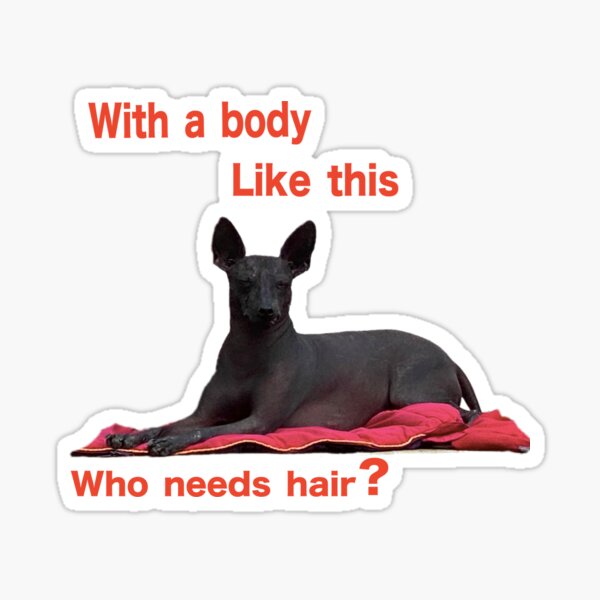 Item preview, Quien necesita cabello designed and sold by Xolo-Rescue.