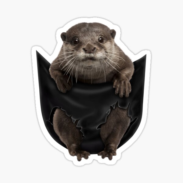 Item preview, Lustiger Otter in der Tasche Meme Geburtstagshemd Otter Liebhaber Tierhalter T-Shirt designed and sold by tuanitus.