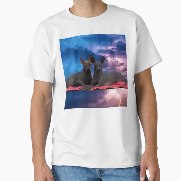 Item preview, Xolos en una tormenta designed and sold by Xolo-Rescue.
