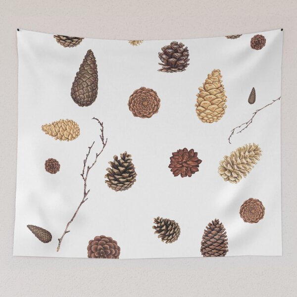 Item preview, Pine Cones Tree / Vintage Pinecone collection Botanist / Vintage Boho Style Nature  Botanical Cones Chart designed and sold by anodyle.
