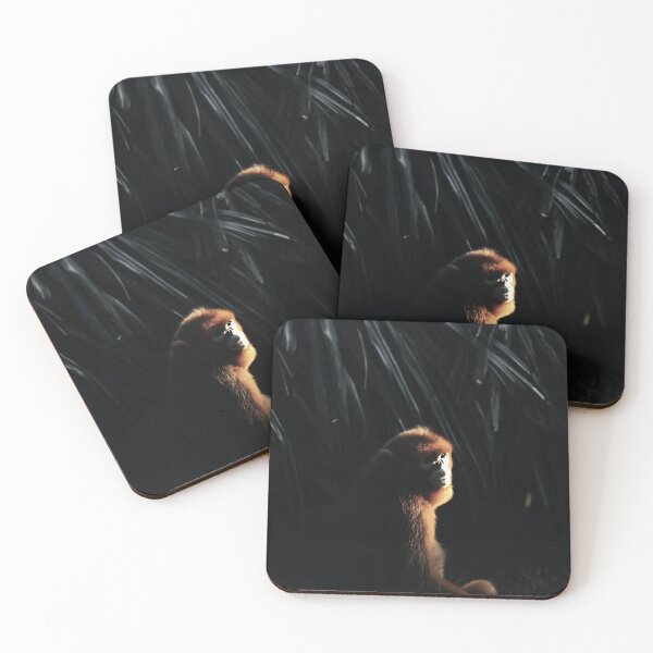 Item preview, Evening light, orangutan in the jungle designed and sold by csbvisuals.