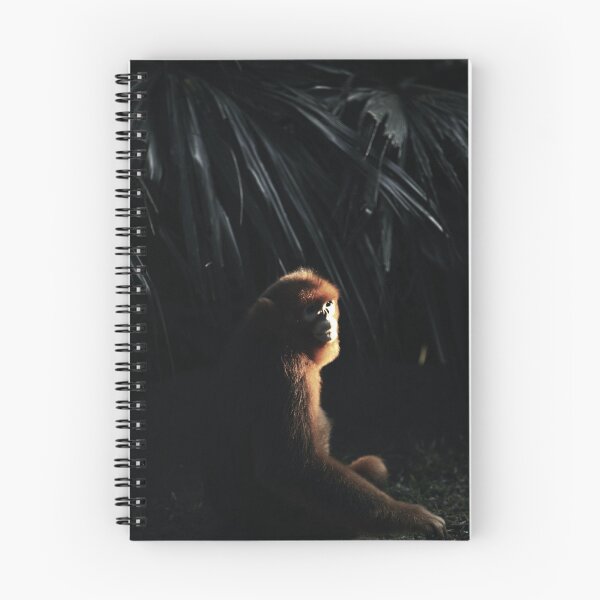 Artikelvorschau, Abendlicht, Orang-Utan im Dschungel entworfen und verkauft von csbvisuals.
