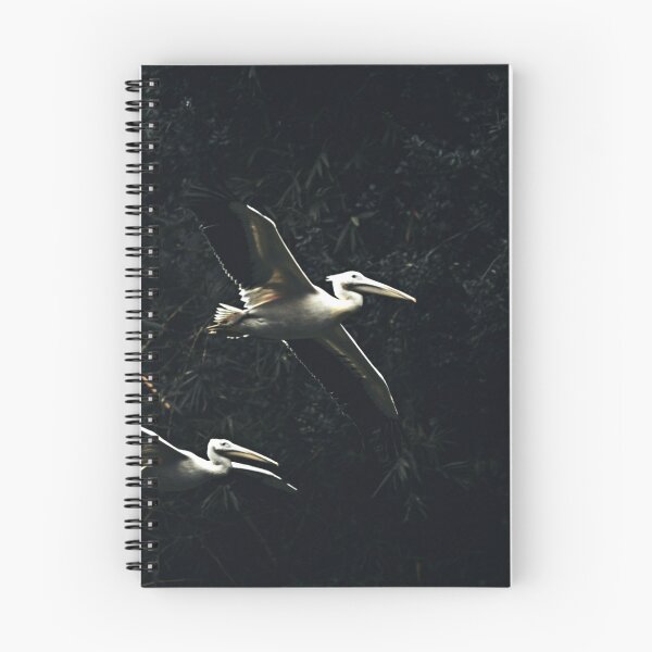 Item preview, Birds flying above the jungle designed and sold by csbvisuals.