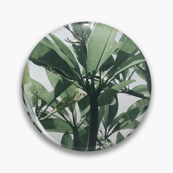 Item preview, Tree Tops Retro Island Photography designed and sold by HintofNature.