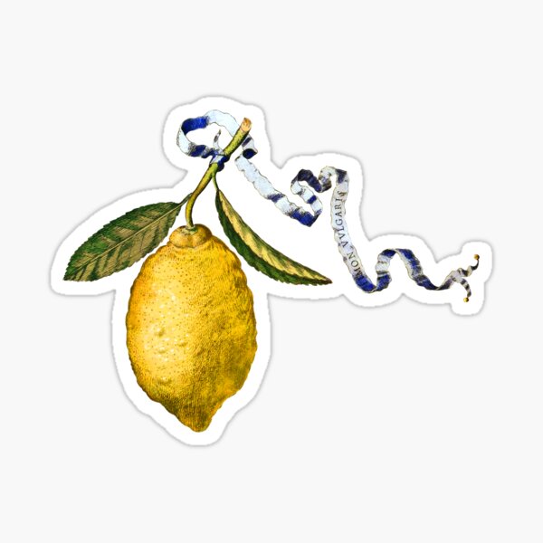 Lemon Tree - White Sticker