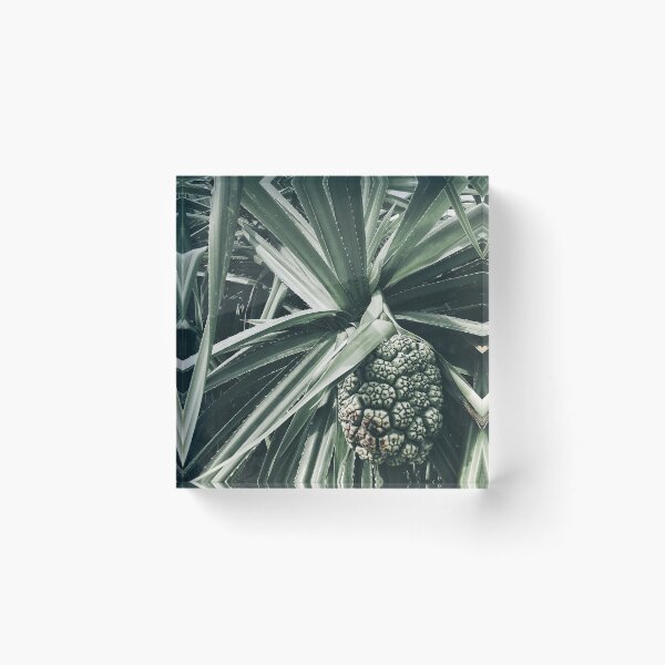 Item preview, Tropical Fruit Retro Island Photography designed and sold by HintofNature.
