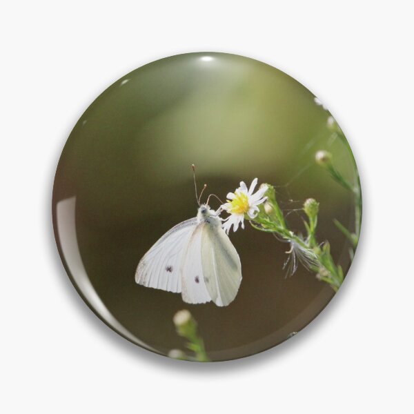 Item preview, Close up of Cabbage Butterfly designed and sold by Susie Kramer.