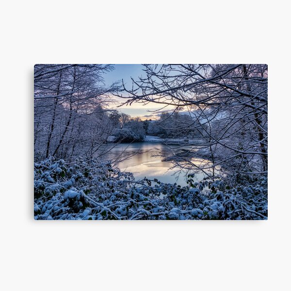 Frozen Lake at Corporation Park Canvas Print