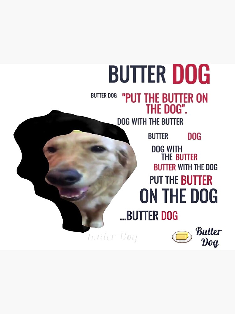 Butter Dog Meme Cute Golden Retriever Dank Meme Poster by Oktayd Saman -  Pixels