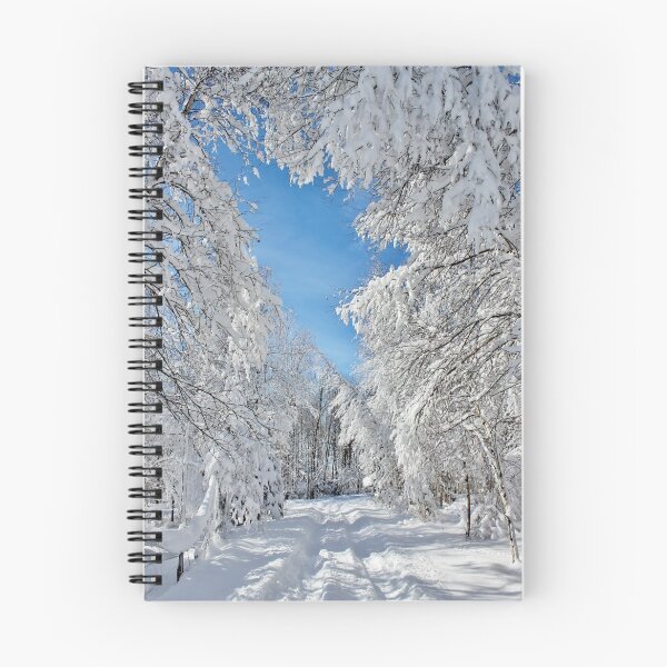 Aperçu de l'œuvre Coated in Snow créée et vendue par Kathleen Daley.