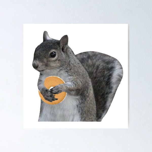 Item preview, Squirrel eating bagel designed and sold by fernyias.