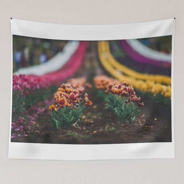 Item preview, Tulips 4 designed and sold by blackren.