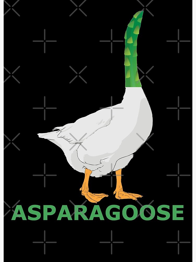 Asparagoose slightly wrong animal mashup funny design Asparagoose slightly wrong animal mashup funny design