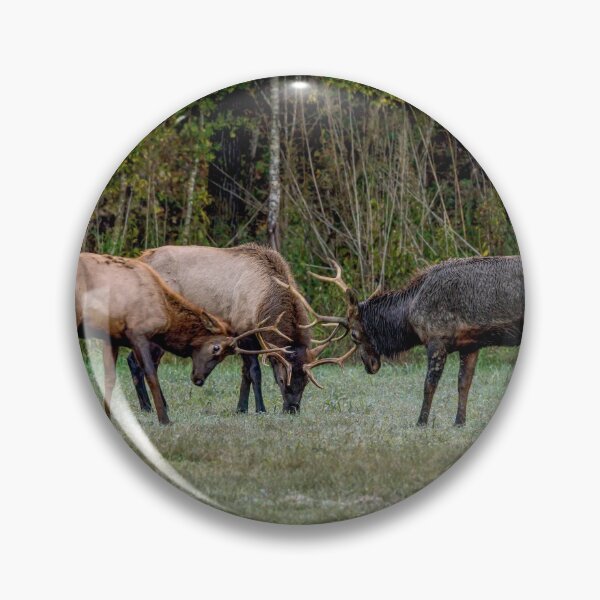 Item preview, Three Bull Elk Fight designed and sold by mljdwhite.