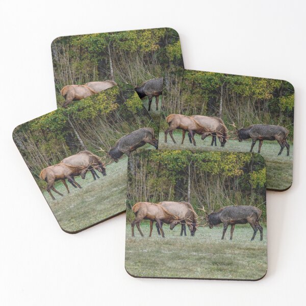 Item preview, Three Bull Elk Fight designed and sold by mljdwhite.