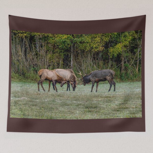 Item preview, Three Bull Elk Fight designed and sold by mljdwhite.