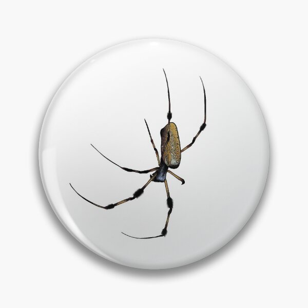 Item preview, Golden silk Orb-Weaver Spider designed and sold by SkalouEe.