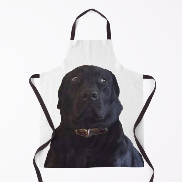 Item preview, BLACK LABRADOR STARE DOGGO MEME designed and sold by SHARMO.