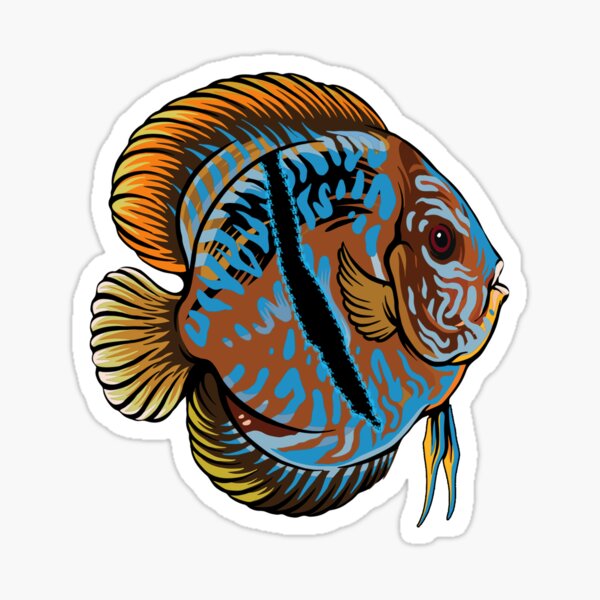 Discus Fish Keeper Aquarium Hobby Poster for Sale by JRRTs