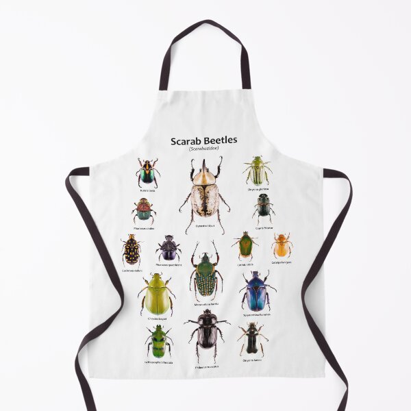 Item preview, Scarab Beetles (Scarabaeidae) designed and sold by Tim Christensen.