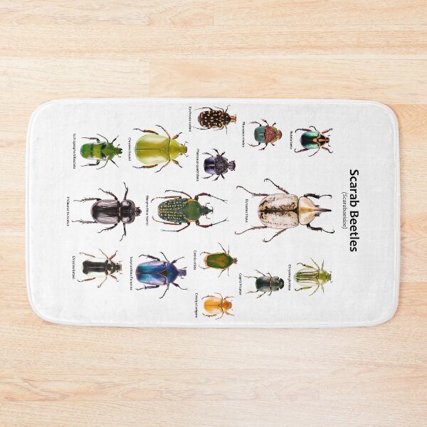 Item preview, Scarab Beetles (Scarabaeidae) designed and sold by Tim Christensen.