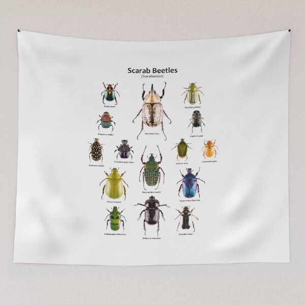 Item preview, Scarab Beetles (Scarabaeidae) designed and sold by Tim Christensen.