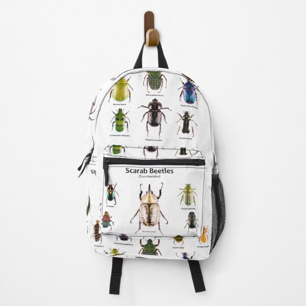 Item preview, Scarab Beetles (Scarabaeidae) designed and sold by Tim Christensen.