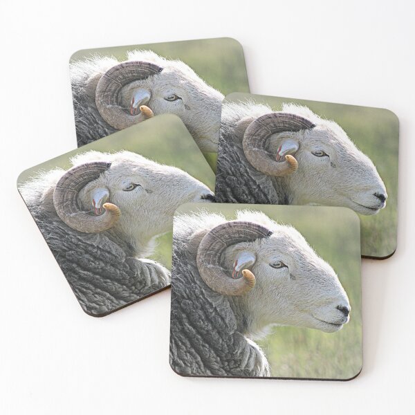 Item preview, Herdwick Ram designed and sold by Liz Lane.