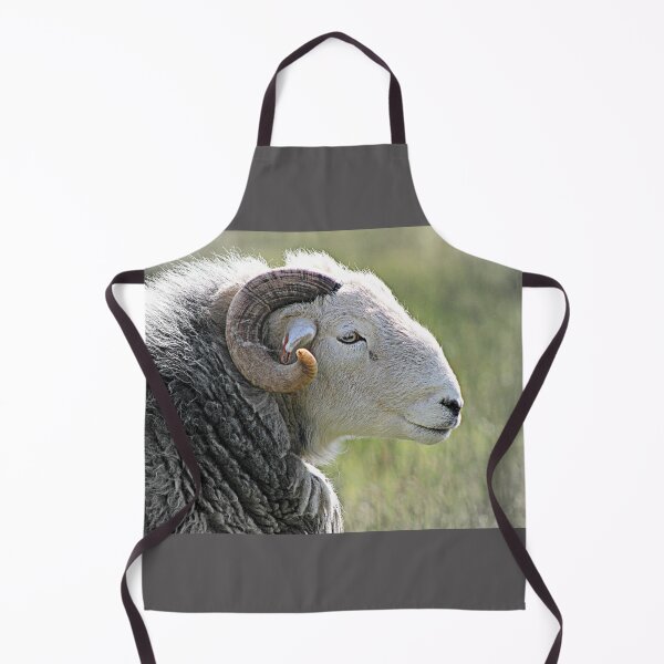 Item preview, Herdwick Ram designed and sold by Liz Lane.