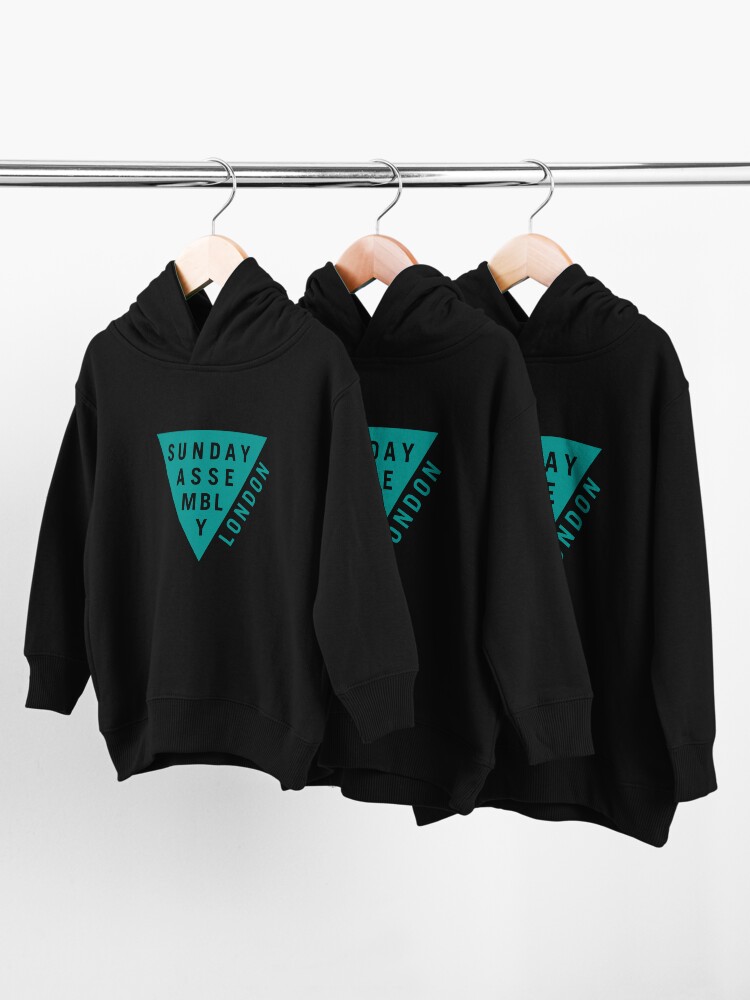 Alternate view of Teal Logo Toddler Pullover Hoodie