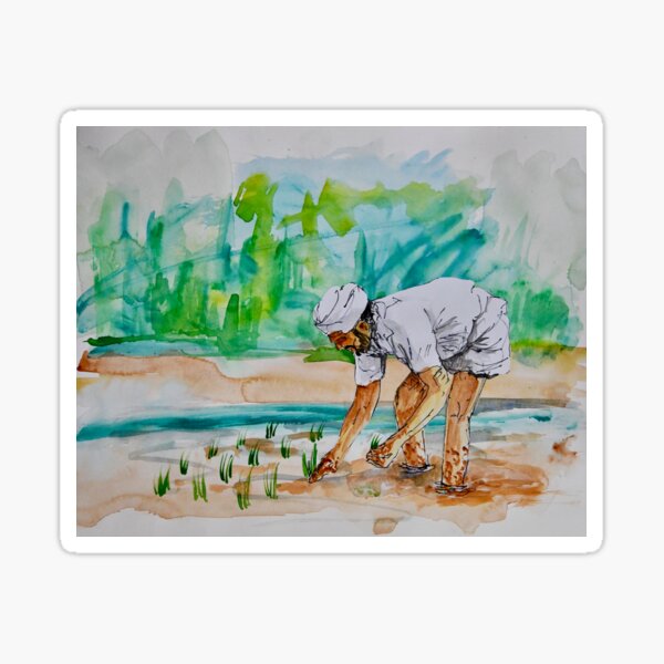 Item preview, Rice fields Southern India designed and sold by Gareth Stamp.