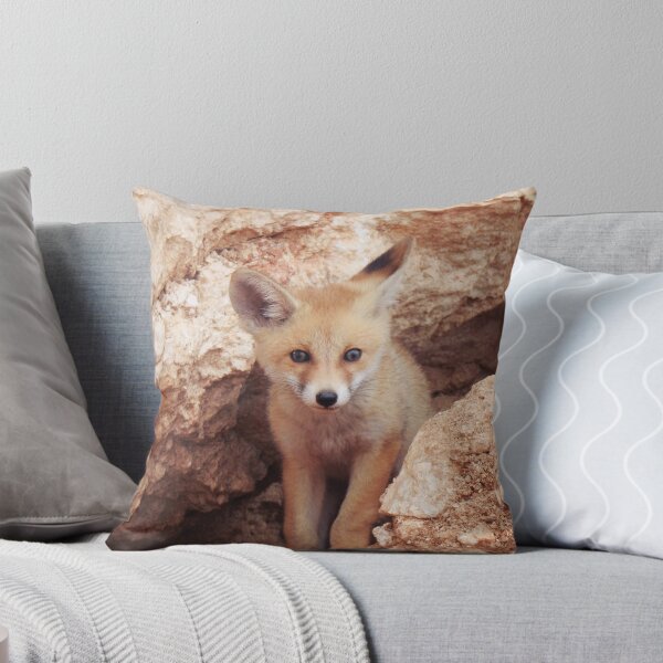Item preview, Arabian Red Fox Kit - Desert Fox Cub Portrait designed and sold by Dan Shachar.