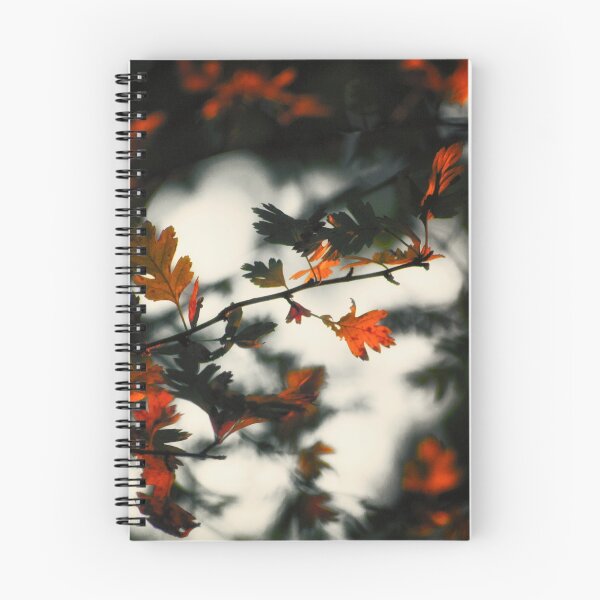 Item preview, Through the Fire designed and sold by Vicki Field.