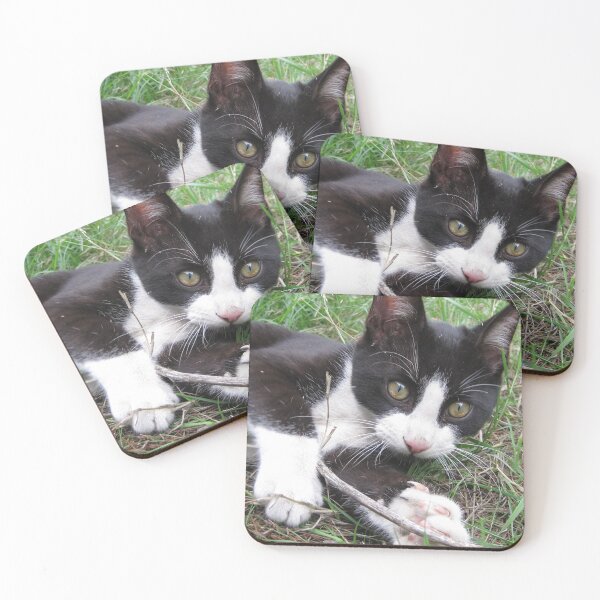 Item preview, Playful Cat designed and sold by Wayne Thomson.