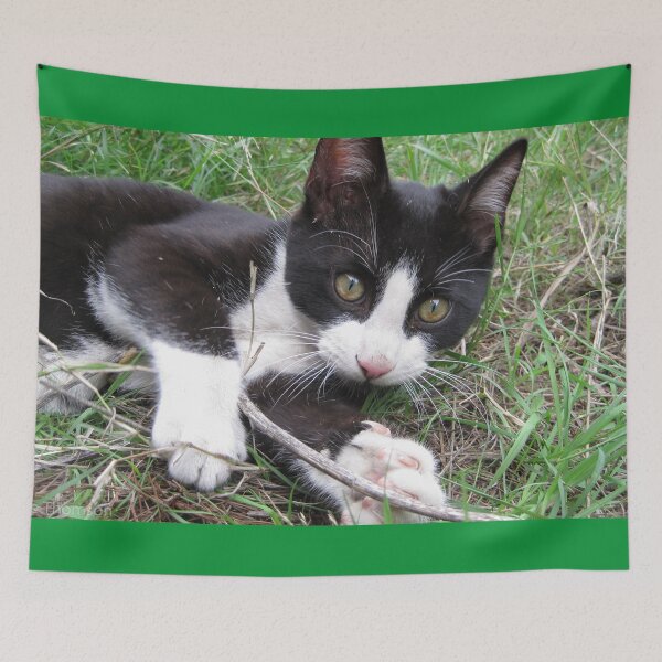 Item preview, Playful Cat designed and sold by Wayne Thomson.