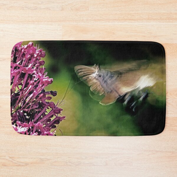 Item preview, New Finition  r1614/ THE BEST  Beautiful Photos THE SPHINX (butterfly) 19 (c)(t) by Olao-Olavia / Okaio Créations  by fz 1000 360.000 photos designed and sold by o.okaïo.