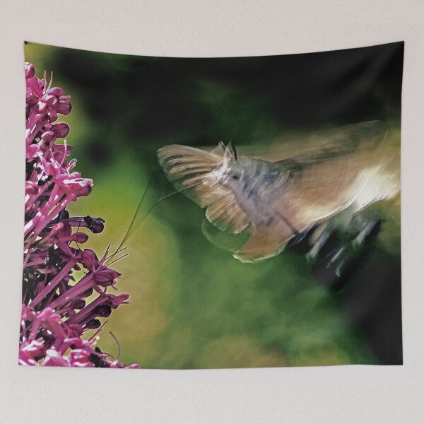 Item preview, New Finition  r1614/ THE BEST  Beautiful Photos THE SPHINX (butterfly) 19 (c)(t) by Olao-Olavia / Okaio Créations  by fz 1000 360.000 photos designed and sold by o.okaïo.