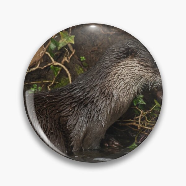 Item preview, Otter Cub designed and sold by RobinDHunter.